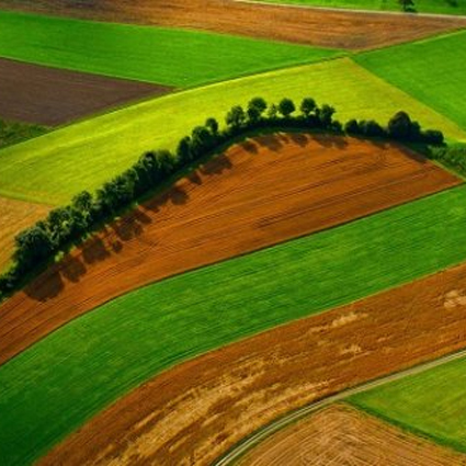 Nagy István: újabb jelentős döntések az agrárium támogatására