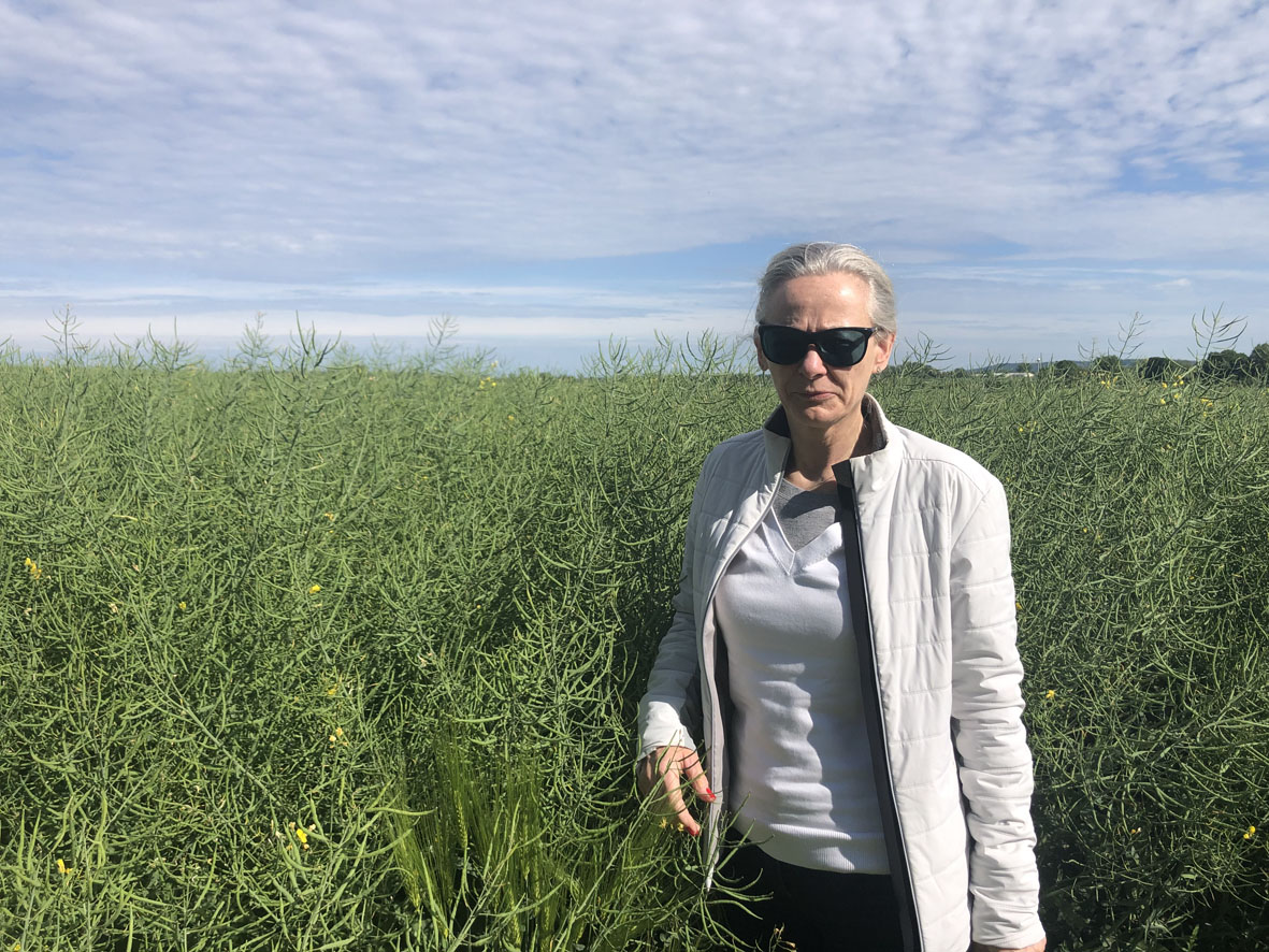 A VulcanAgro Kft által forgalmazott termékkel, nem csak többet és jobb minőségben tudnak 
							termelni, de a talajok romlása-kimerülése is megállítható.